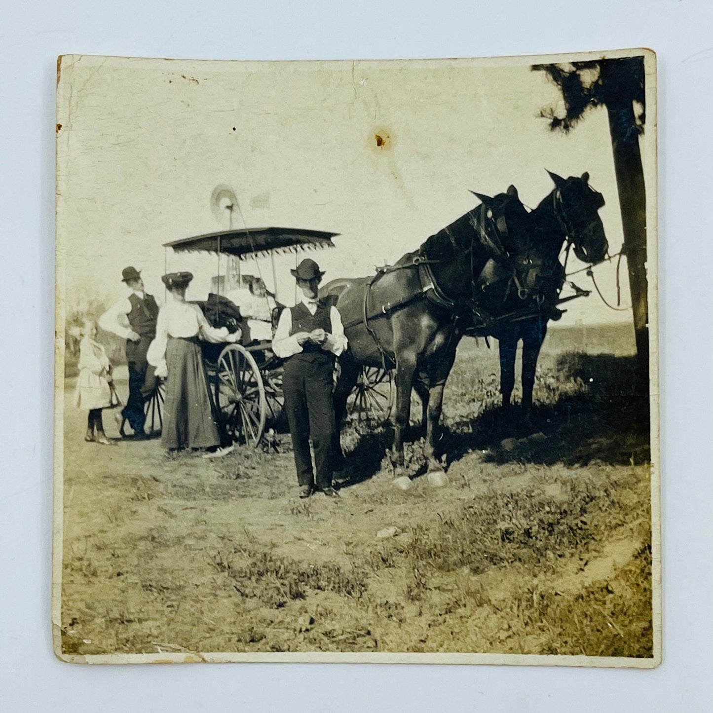Antique Photograph Victorian Men and Women with 2 Horses Pulling Carriage 3” AH9-M7