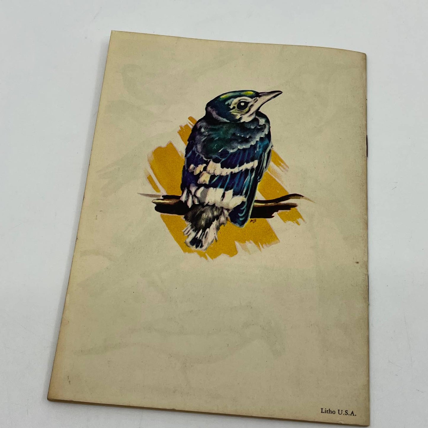 1940s Attracting Birds to Your Yard Garden Blue Book - Audubon Magazine SC5