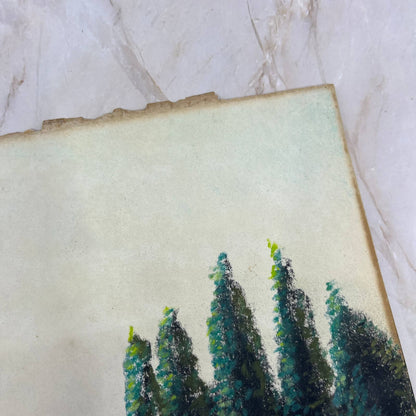 c1920 Original Art Oil Pastel Lake Landscape Signed B. Nerebier 11.5x15” FL3