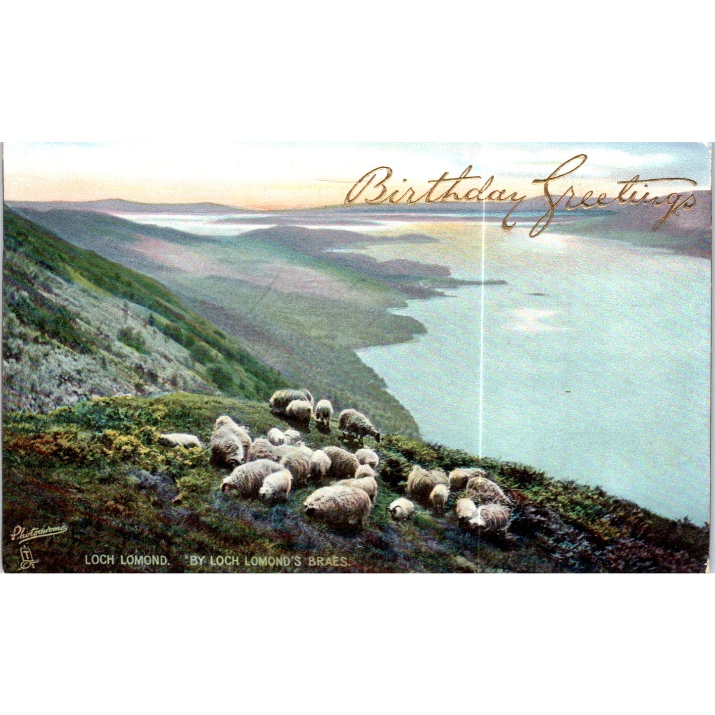 Sheep at Loch Lomond's Braes Raphael Tuck Original Postcard P3-2