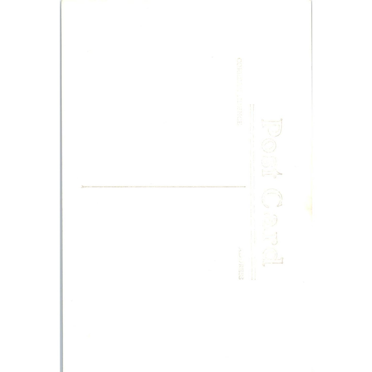 Basket of Fresh Caught Trout RPPC Fishing Original Postcard TK1-23