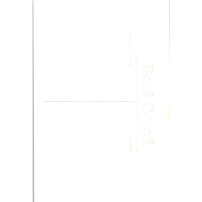 Basket of Fresh Caught Trout RPPC Fishing Original Postcard TK1-23