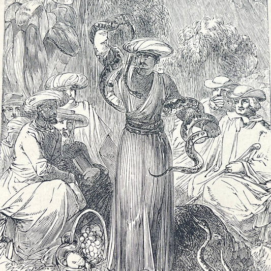 1880s Engraving Art Print Snake Serpent Charmer 3.5 x 6.5 AA8