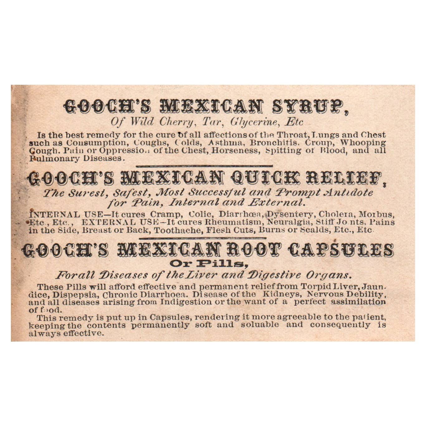 Gooch's Mexican Syrup Quack Medicine Show With Flowers - 1880s Trade Card TJ8-3