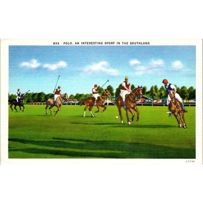 Polo - An Interesting Sport in the Southland Original Postcard TK1-24
