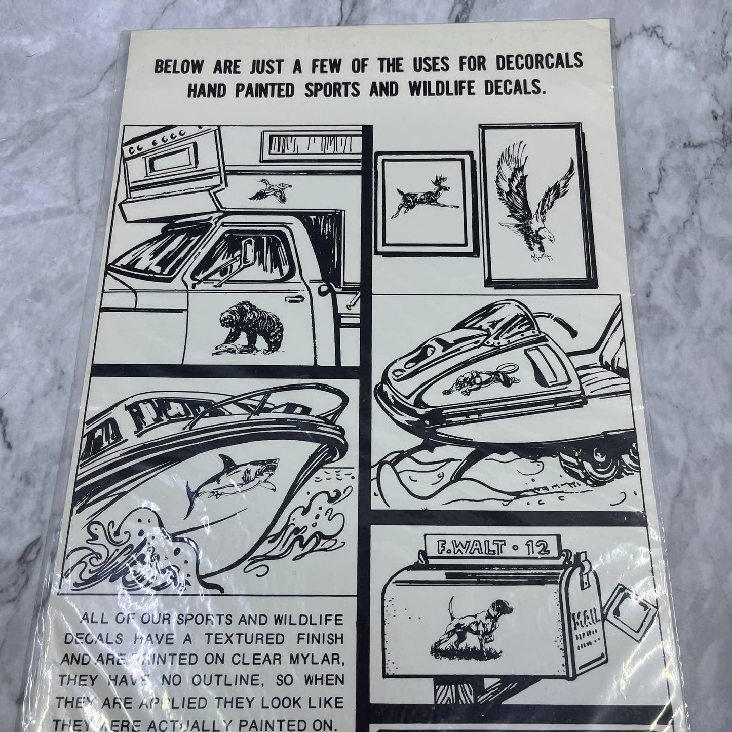1979 NEW NOS Decorcal Sports & Wildlife Decal W-25 Salmon Fishing FL5