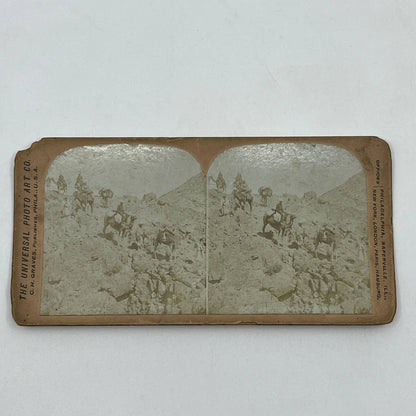 c1900 Stereoview Card Men Riding Camels in the Desert SD6