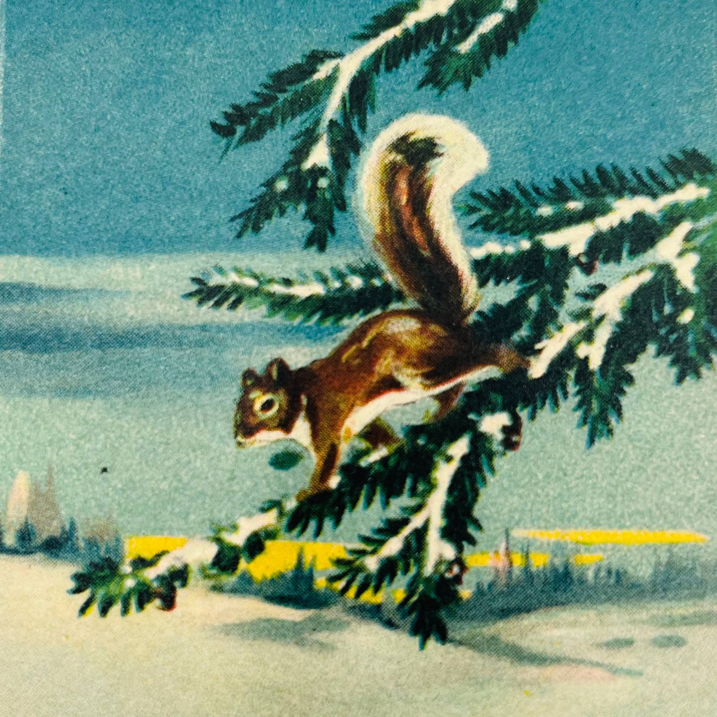 1910s Christmas Post Card WINSCH Back Squirrel Pine Tree Snow Poem PA4