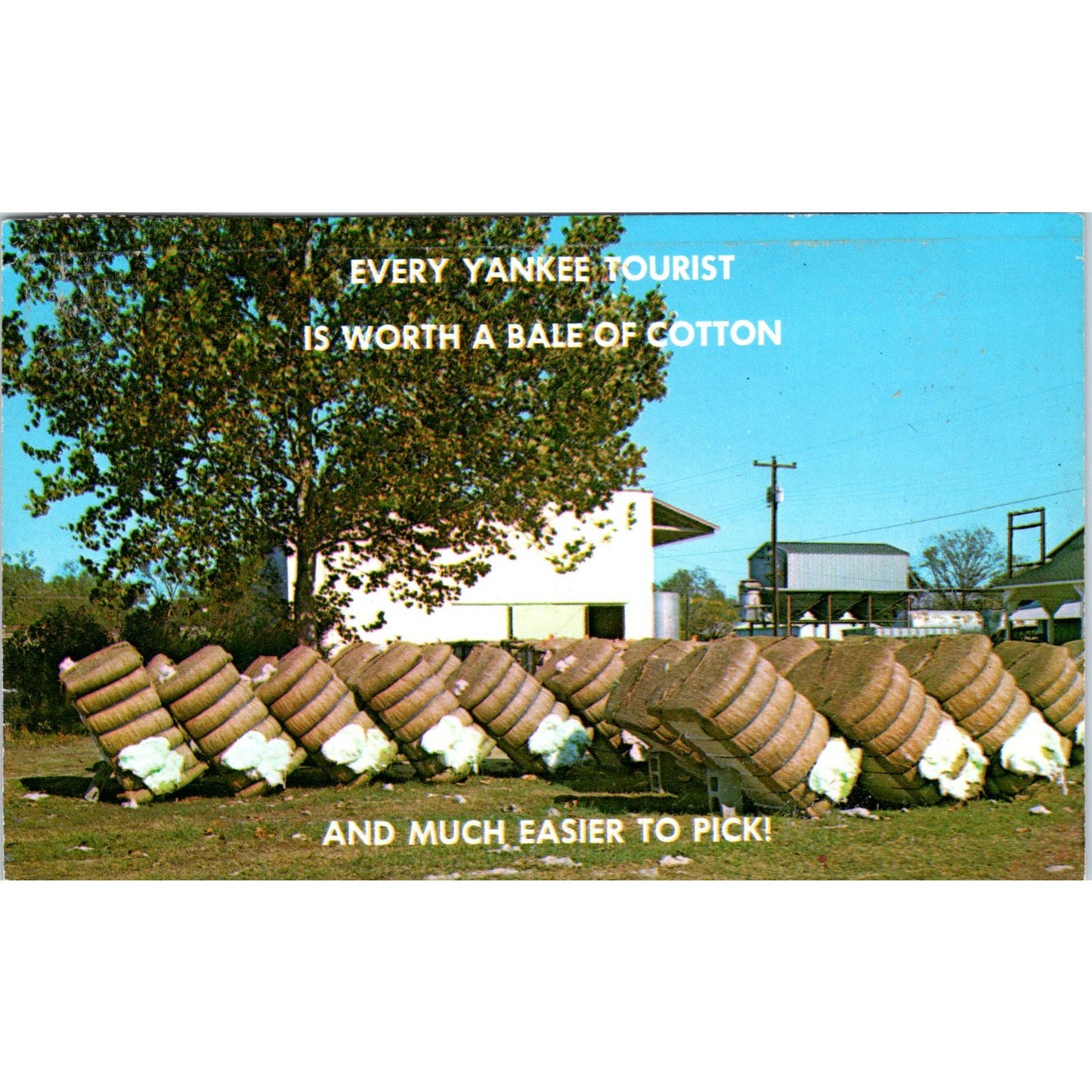 Every Yankee Tourist is Worth a Bale of Cotton Coolidge GA Original Postcard PB1