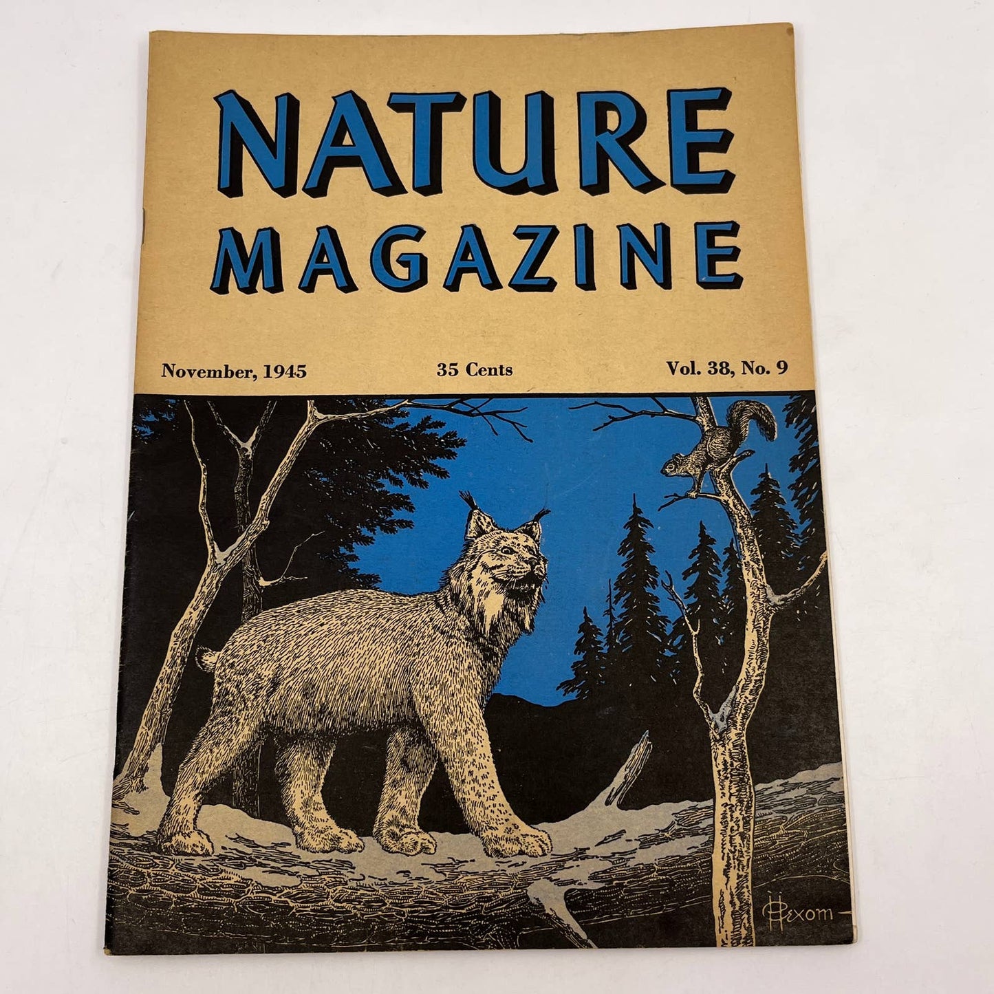 Nature Magazine Nov 1945 - Canada Lynx Hexom Gulls of the Harbor TC1