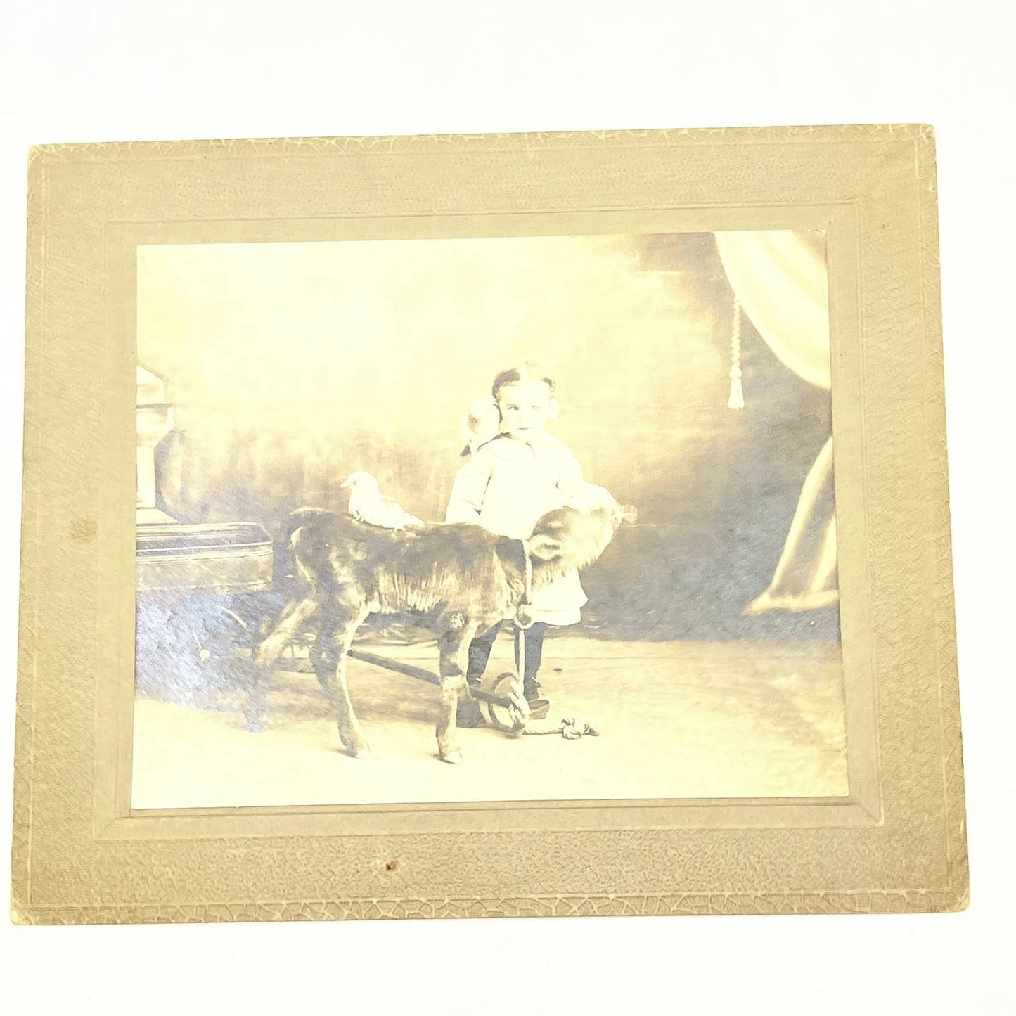 1912 Photo Little Girl Feeding Goat Clara Nass Strickert Liberal KS AB8