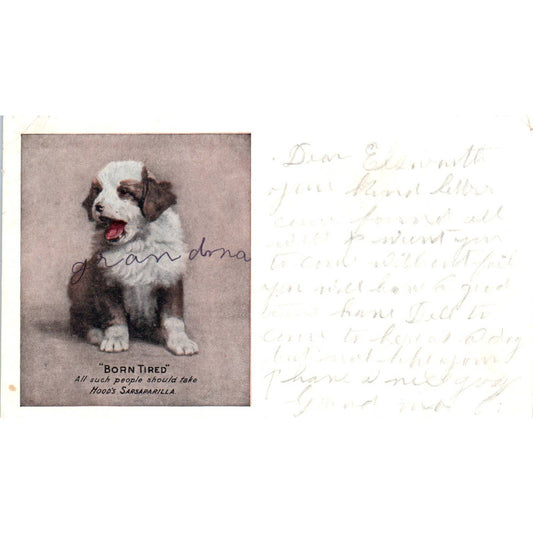 Hood's Sarsaparilla Born Tired Puppy Dog Advertising 1907 Postcard TK1-27