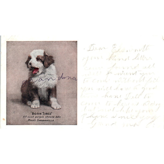 Hood's Sarsaparilla Born Tired Puppy Dog Advertising 1907 Postcard P1-12