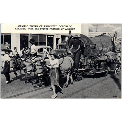 Orville Ewing Pritchett Colorado w/ Future Farmers of America Postcard TK1-28