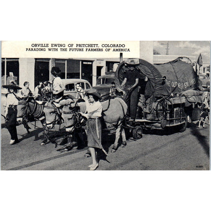 Orville Ewing Pritchett Colorado w/ Future Farmers of America Postcard P2-2