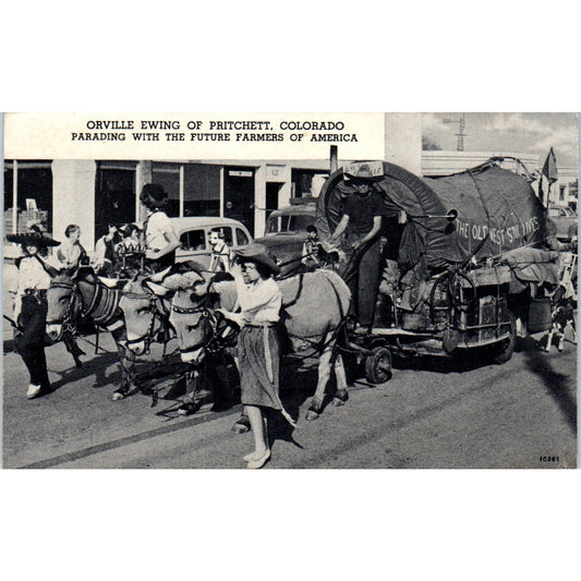 Orville Ewing Pritchett Colorado w/ Future Farmers of America Postcard P2-2