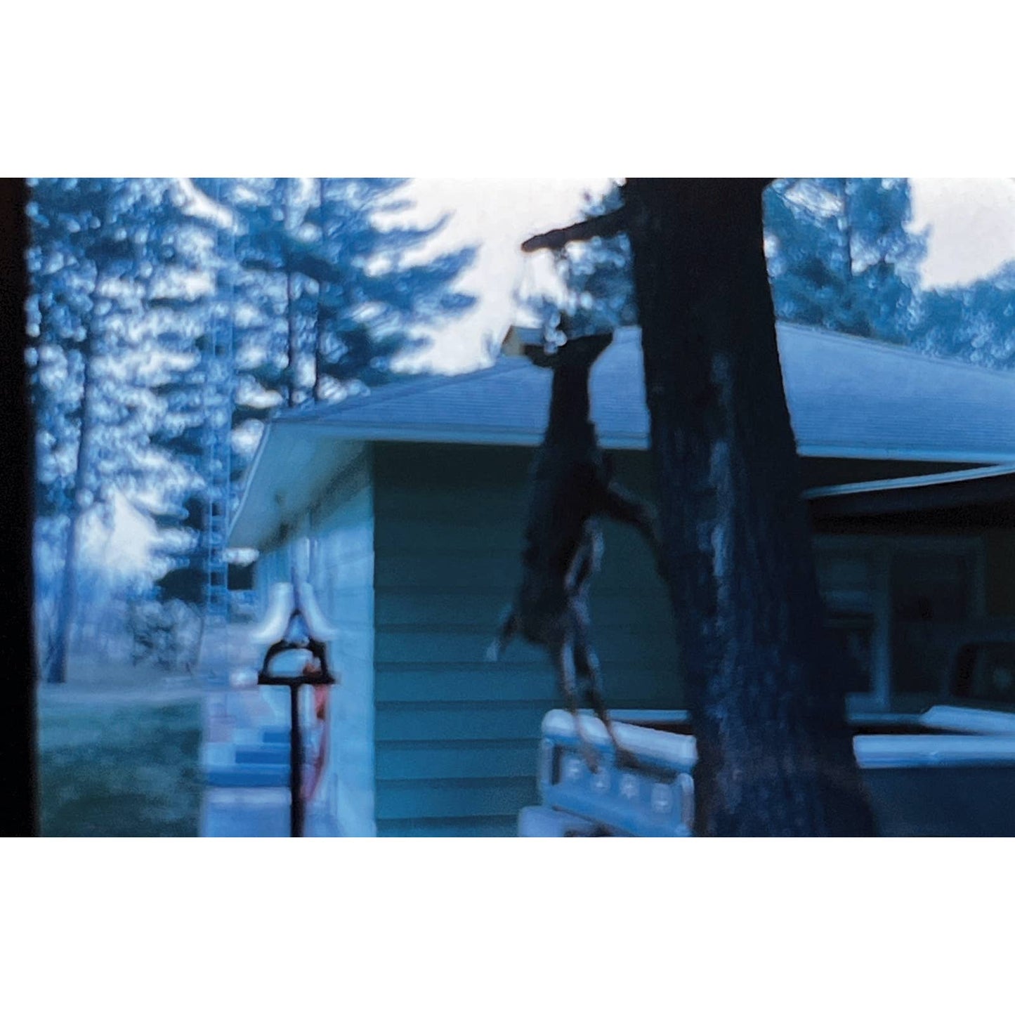 1966 Original Color Slide Deer Hunting Green Ford F150 Set of 9 2x2 TK2-S4-32