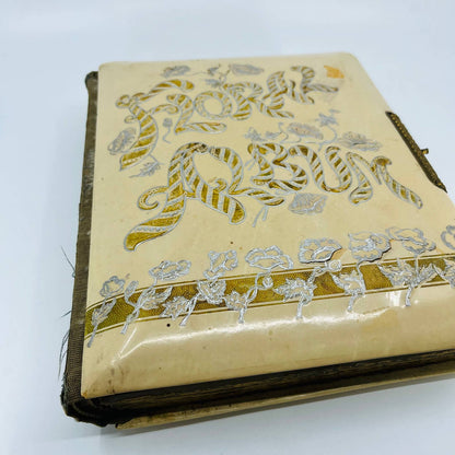 1880s Victorian Photo Album “Floral Album” Ornate Pages 10.5 x 9” TB6