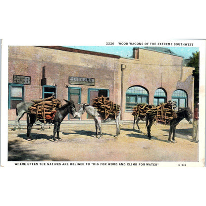 Wood Wagons of the Extreme Southwest Donkey Burro Mule Original Postcard TK1-28