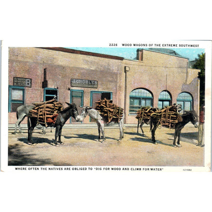 Wood Wagons of the Extreme Southwest Donkey Burro Mule Original Postcard P2-2