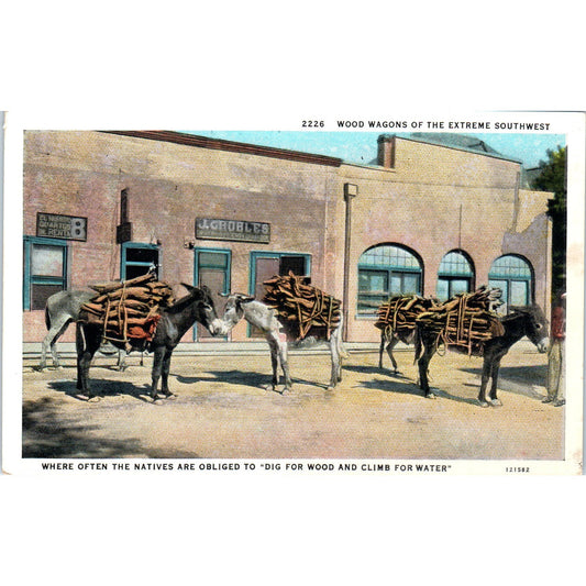 Wood Wagons of the Extreme Southwest Donkey Burro Mule Original Postcard P2-2