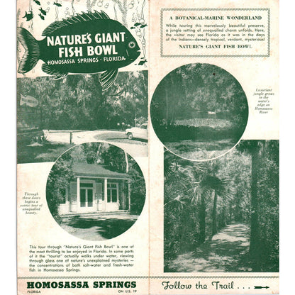 1950s Nature's Giant Fish Bowl Homosassa Springs Fold Out Travel Brochure SE3-4