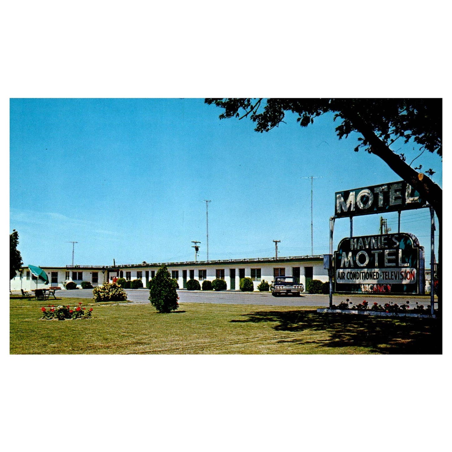 Vintage Postcard - Haynie's Motel U.L. Boyce Dover Delaware TJ7-1