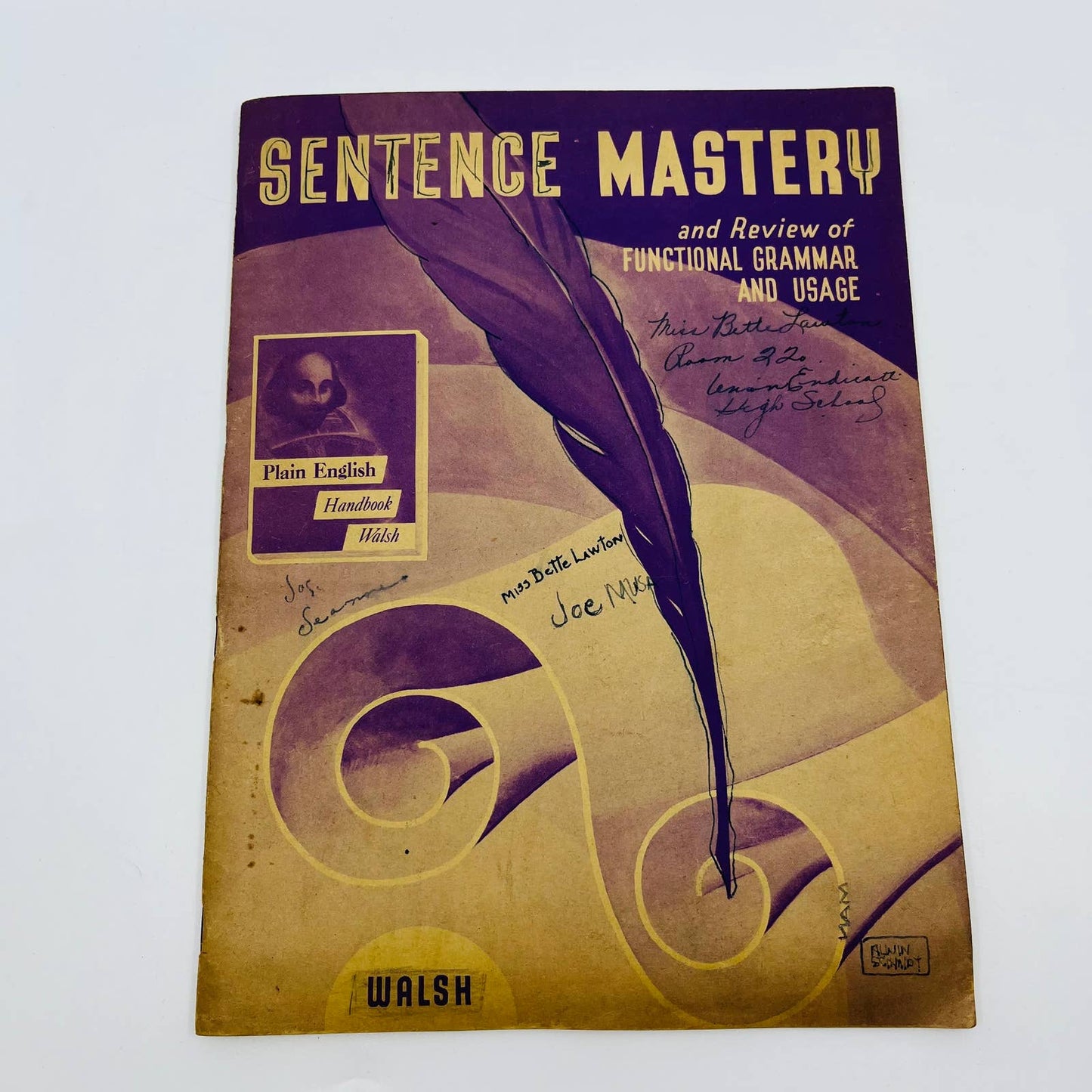 1936 Sentence Mastery and Review of Functional Grammar and Usage Workbook TD8