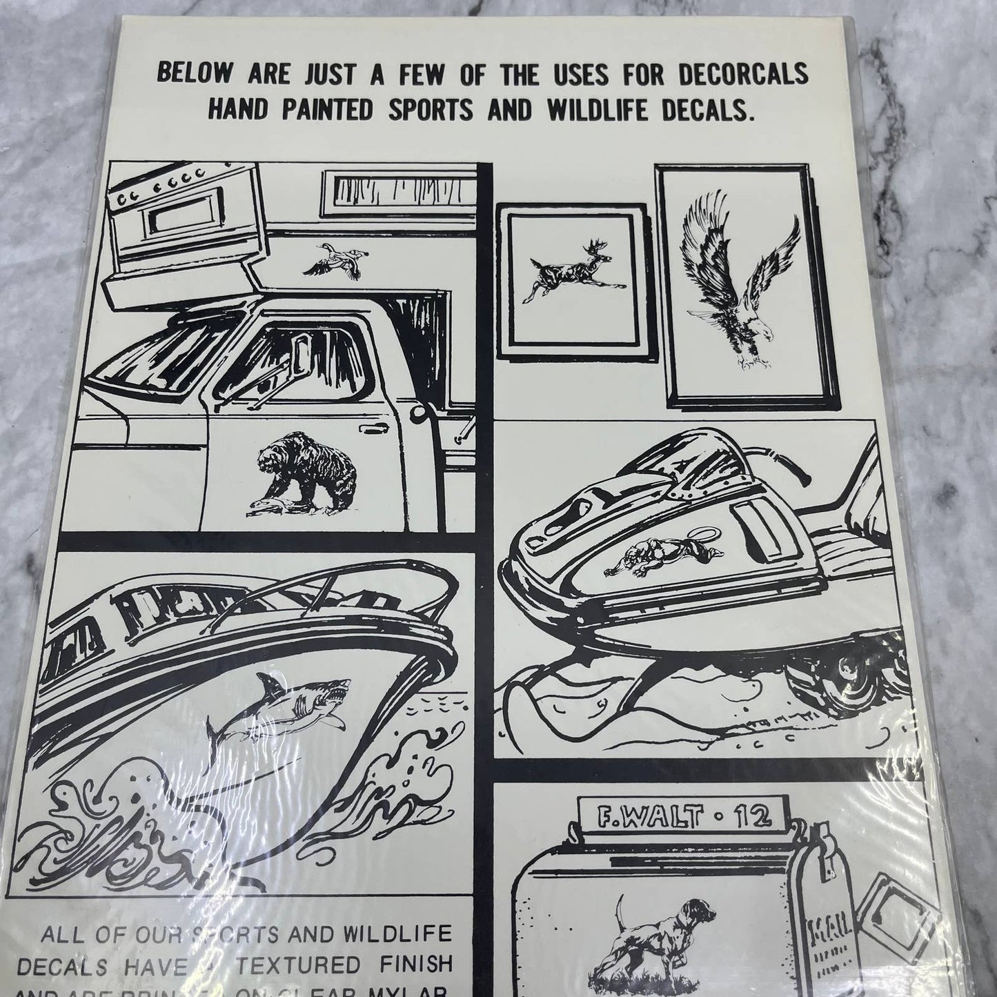 1986 NEW NOS Decorcal Sports & Wildlife Decal W-33 Indian Head FL5