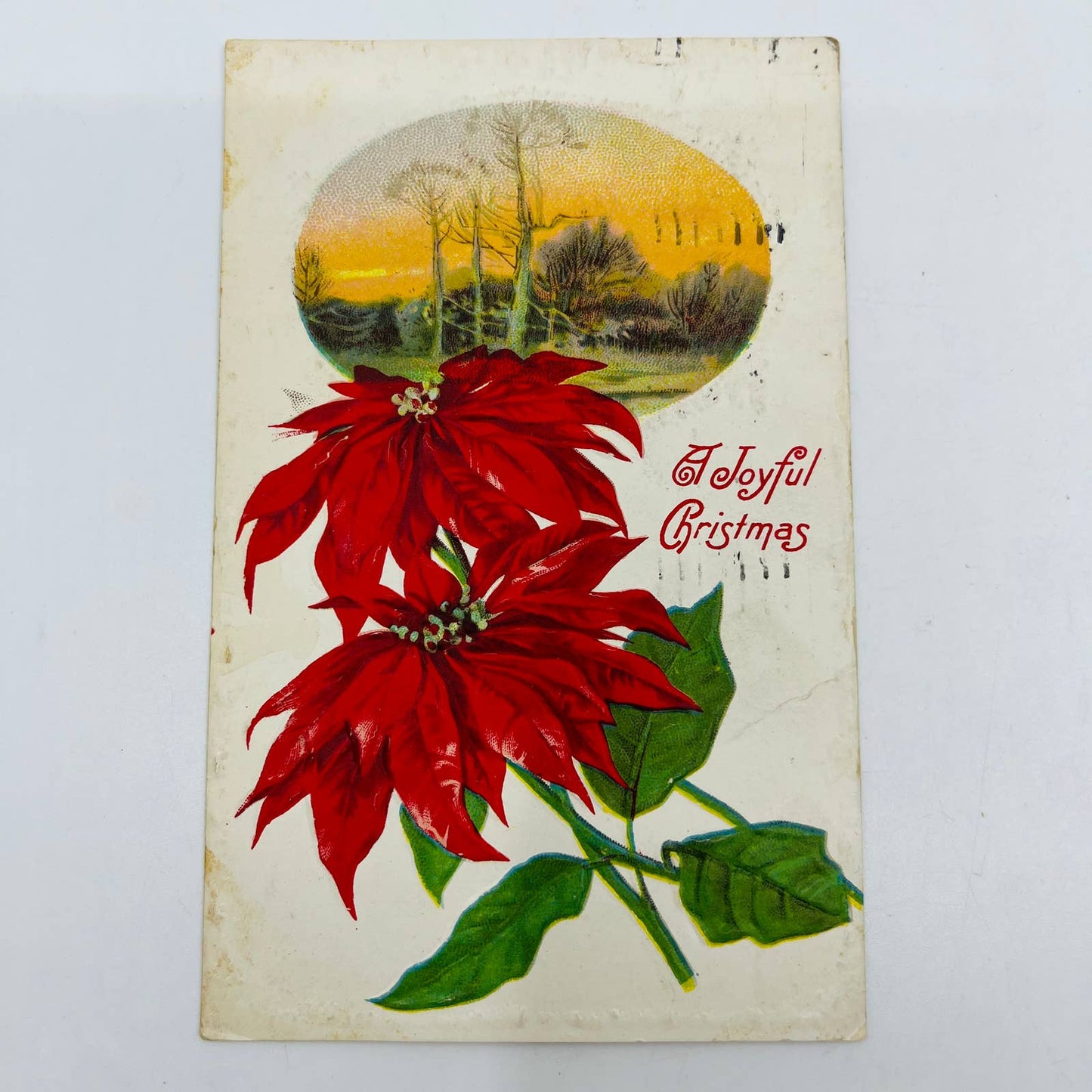 1910s Christmas Post Card WINSCH Back Embossed Poinsettia Forest Sunset PA4