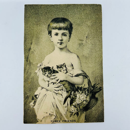 1880s Victorian Trade Card Simonds Soap New York NY Girl & Kittens AH9-M8