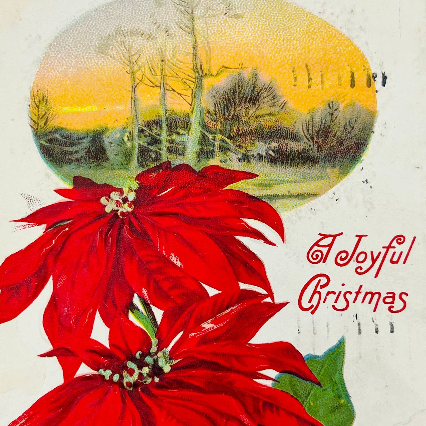 1910s Christmas Post Card WINSCH Back Embossed Poinsettia Forest Sunset PA4