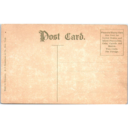 Willard Hotel Washington D.C. Original Postcard TK1-P2