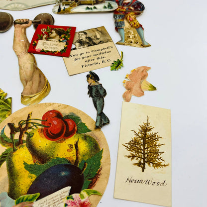 1880s Huge Lot Victorian Cut Out Scrap Figures Floral Fruit Places Cupid EA2