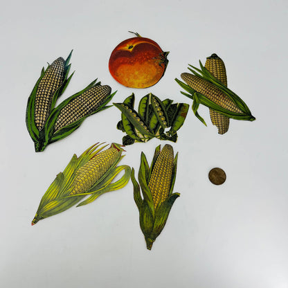 1880s Lithograph Cut Outs Scrap Set of 6 Corn Ears Peas Peach 4 - 5” EA2