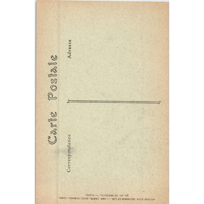 Albi Cathédrale Ste-Cécile le Portail Original Postcard TK1-P20