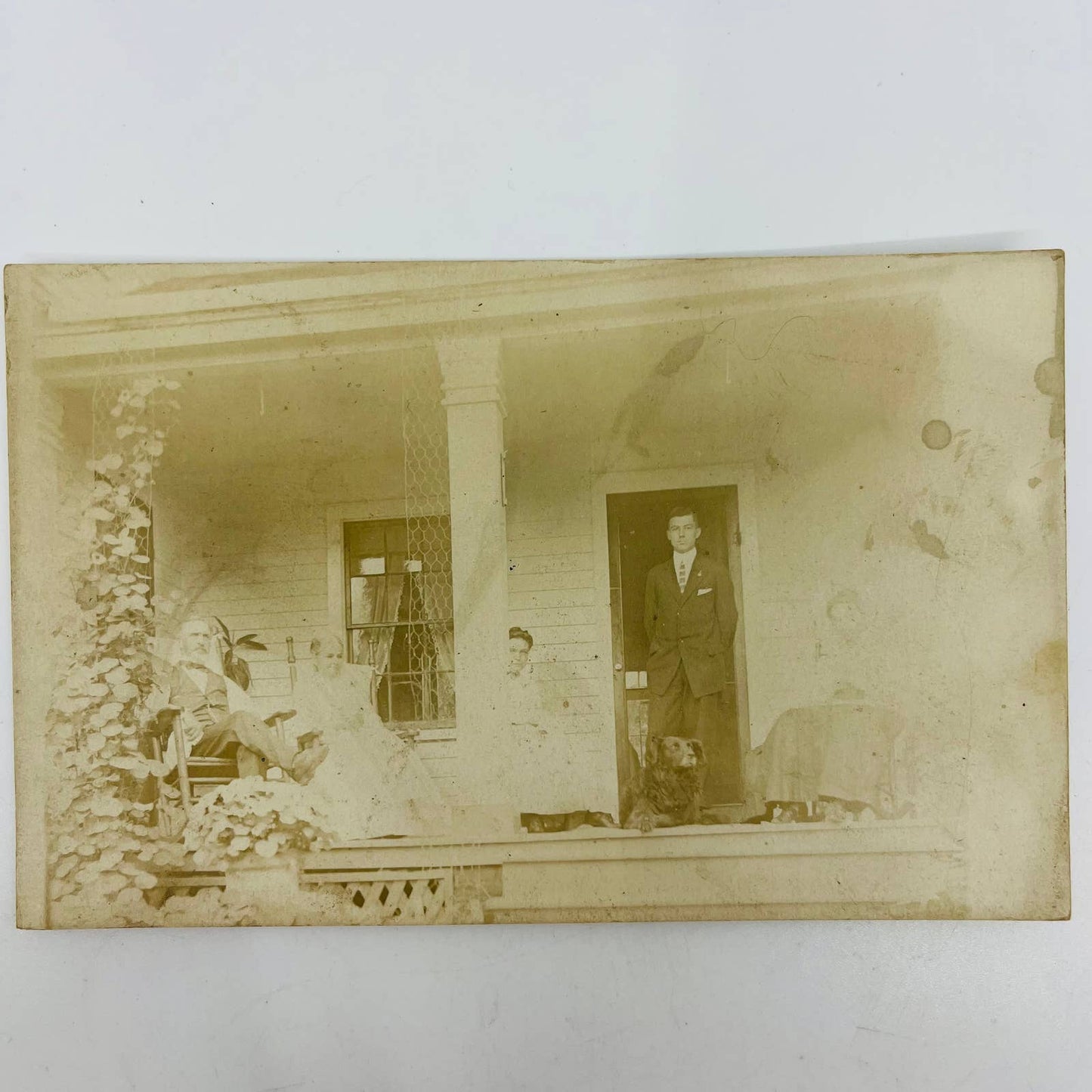 Early 1900s RPPC Portrait Family on Porch Rocking Chairs Dog PA9