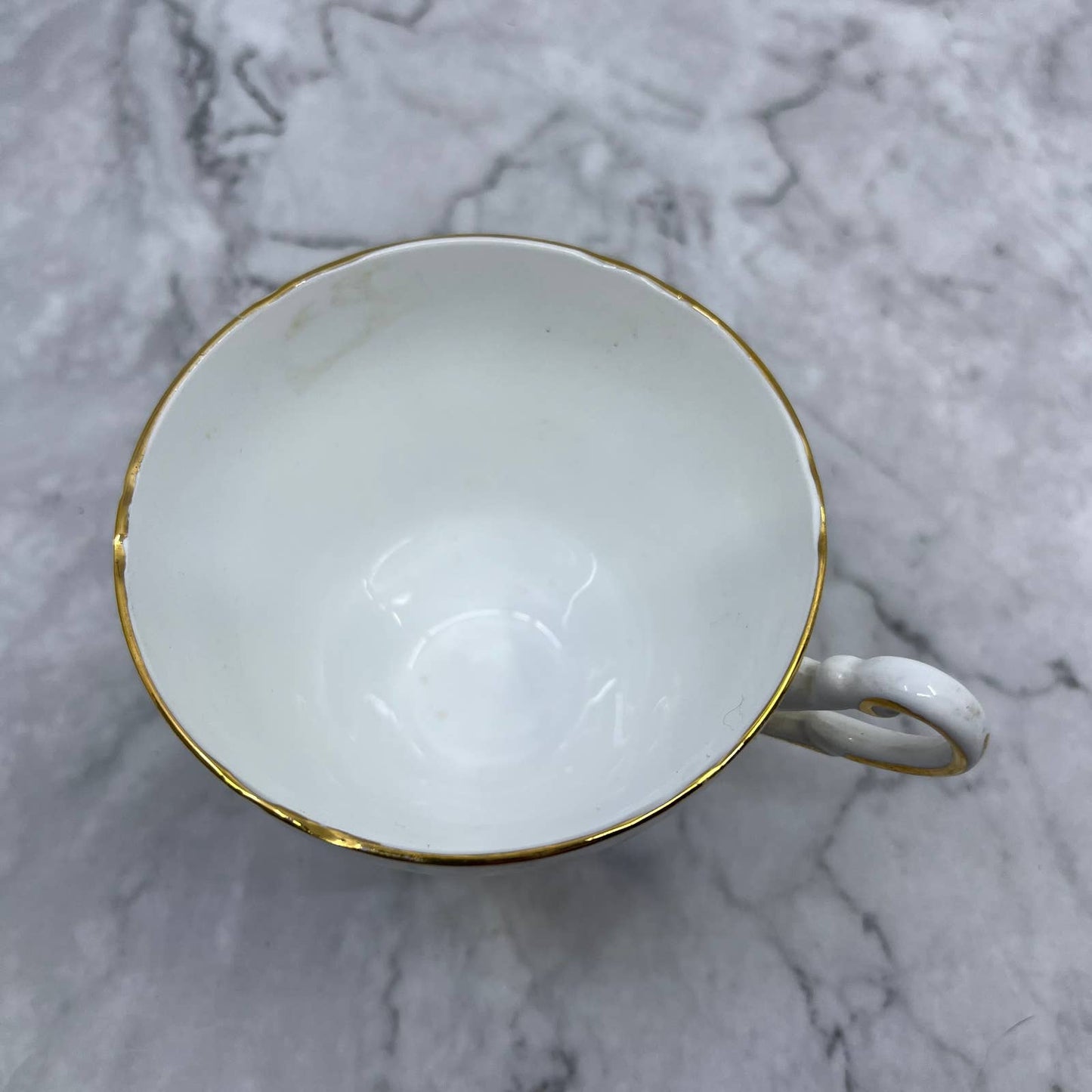 Vintage Regency English Bone China Tea Cup Christmas Rose TA1