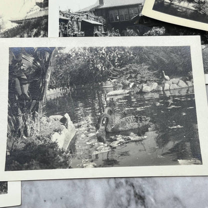 1930s Photos & Negatives Bernheimer Oriental Gardens Hollywood TJ9-PG5