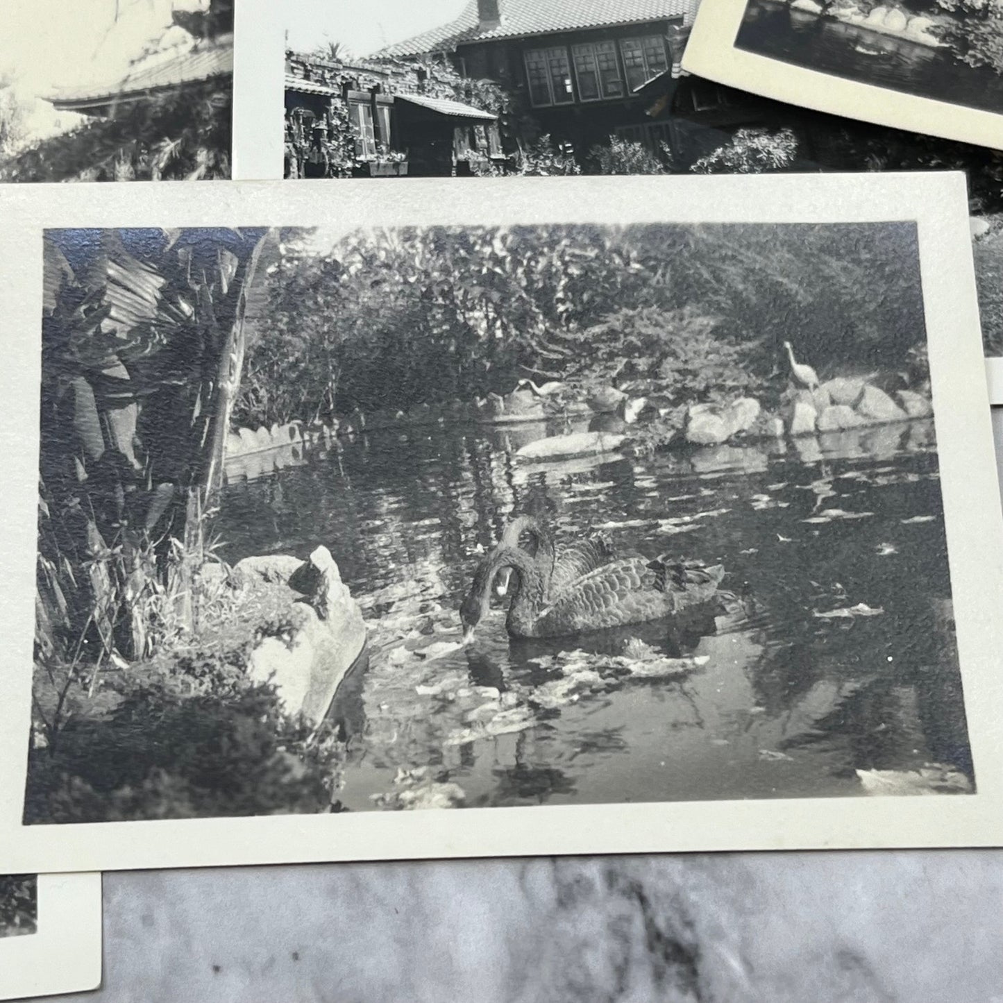 1930s Photos & Negatives Bernheimer Oriental Gardens Hollywood P4-10
