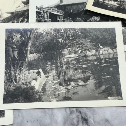 1930s Photos & Negatives Bernheimer Oriental Gardens Hollywood P4-10