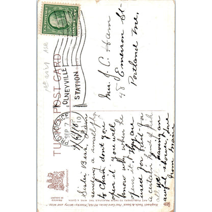 Don't Turn Over a New Leaf Raphael Tuck Original Postcard P2-12