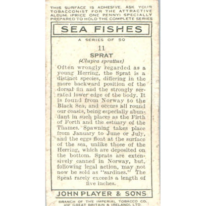 1935 Player's Cigarette Card Sea Fishes #11 Sprat SE5