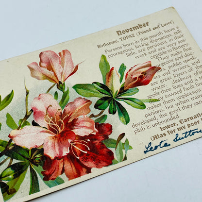 1910s Post Card Birthstone November Topaz Carnation PA6