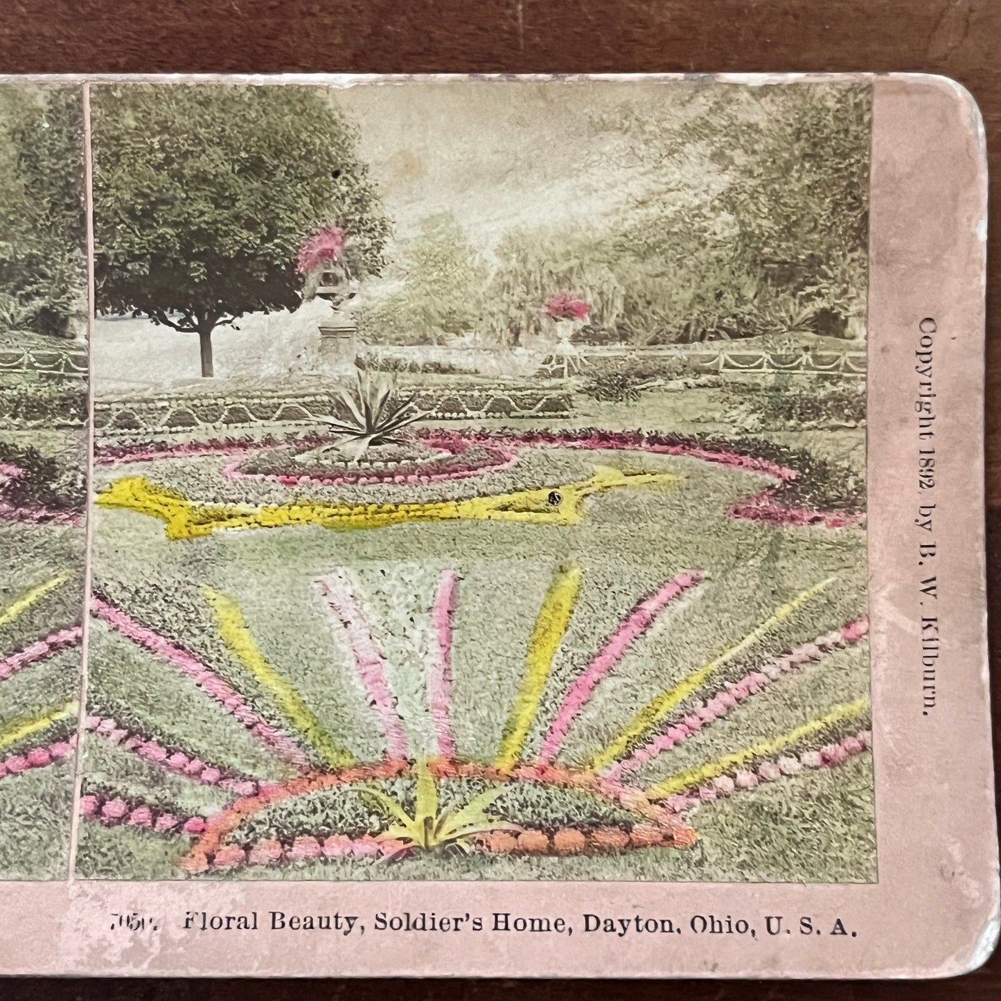 Floral Beauty Soldier's Home Dayton OH Tinted 1892 Antique Stereoview H2-6