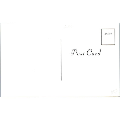 Group of French Bisque Dolls With Dog Green Tint Original Postcard PB10