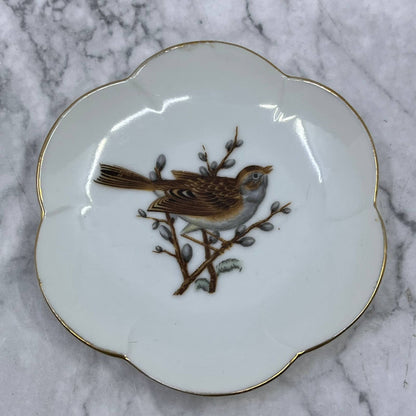 Vintage Small Plate Trinket Dish Hand Painted Bird And Pussy Willows 4” TB5