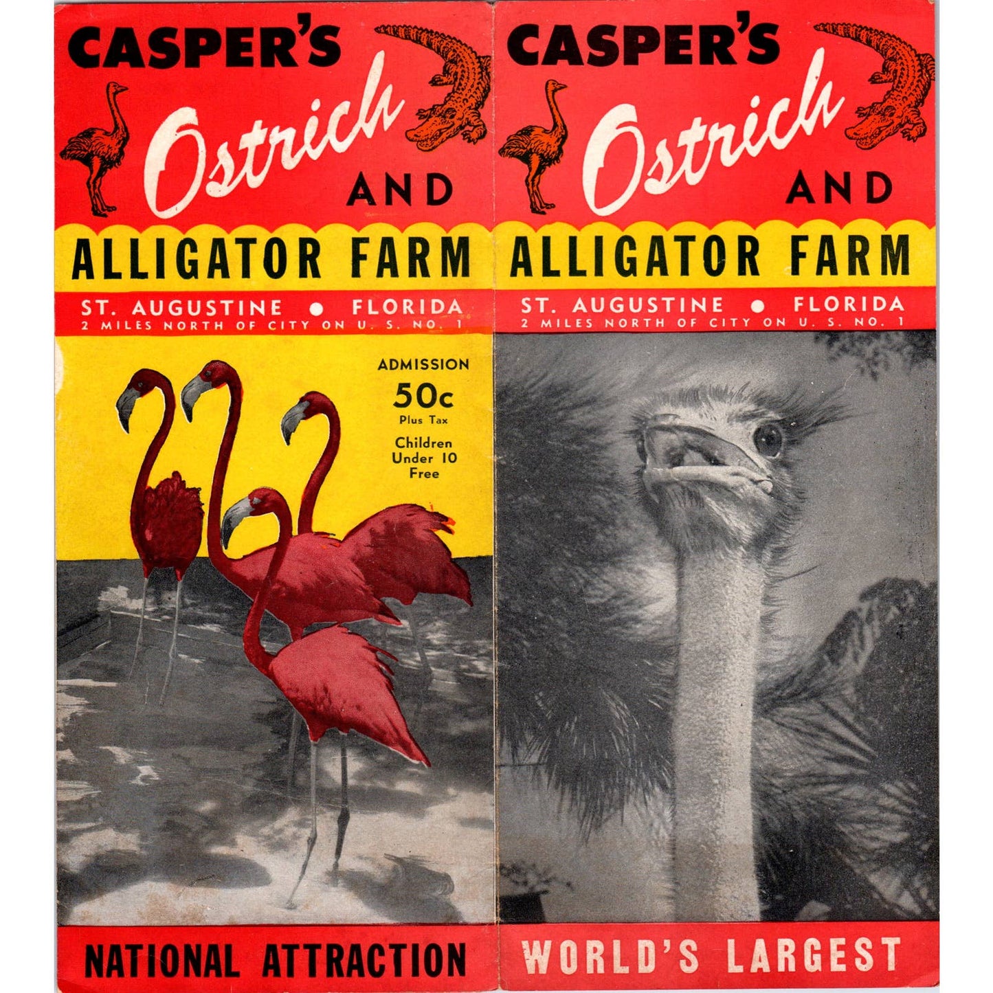 1950s Casper's Ostrich & Alligator Farm St. Augustine FL Travel Brochure SE3-4