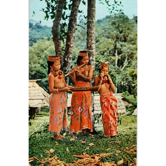 Kayan Girls Playing Harp & Nose Flute Sarawak - Original Postcard TJ9-P1