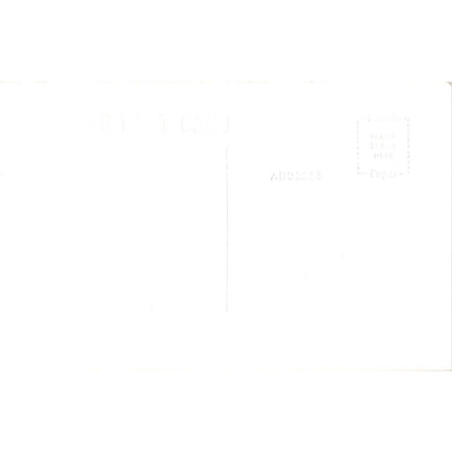 Airplane and Team of Sled Dogs in Alaska RPPC Original Postcard TK1-30